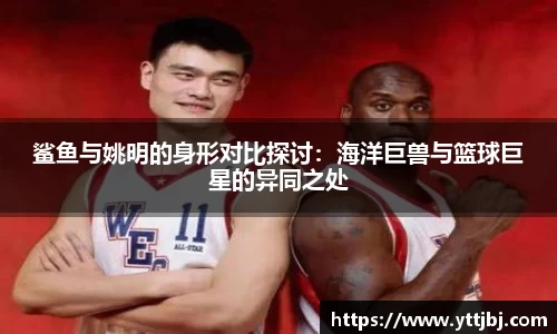 鲨鱼与姚明的身形对比探讨：海洋巨兽与篮球巨星的异同之处